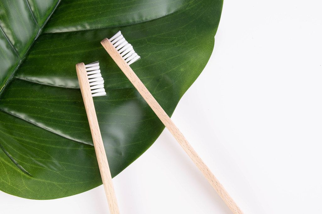 two toothbrushes on leaf